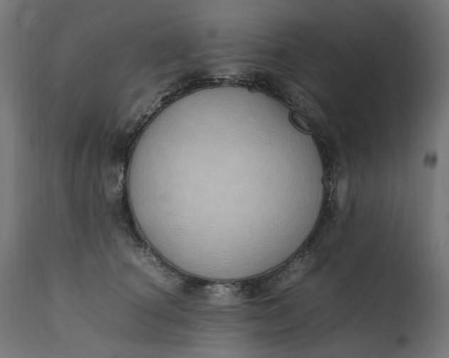 X0000111490660200907281228