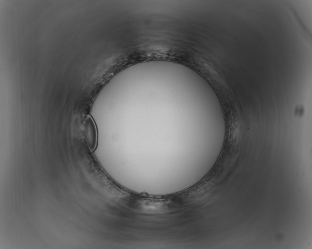 X0000111490661200907281228