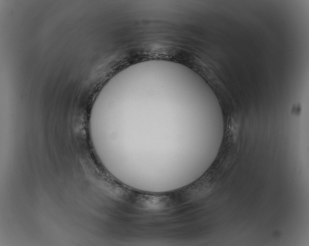 X0000111490663200907281228