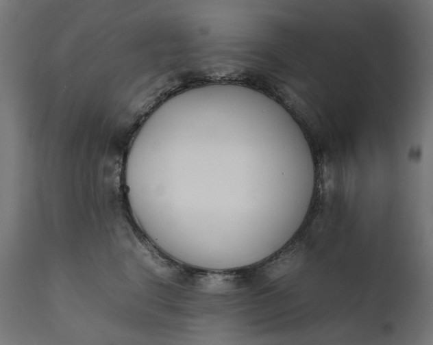 X0000111490664200907281228