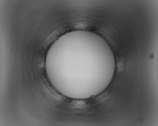 X0000111490665200907281228