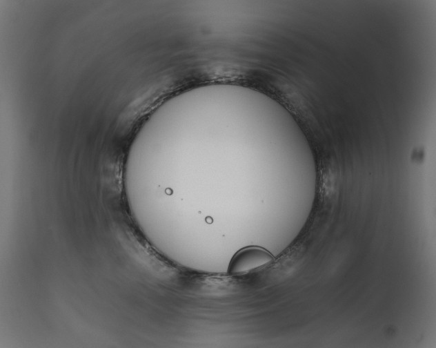 X0000111490666200907281228