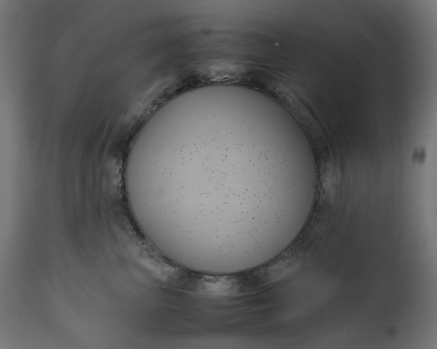 X0000111490667200907281228