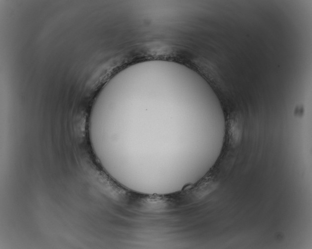 X0000111490668200907281228