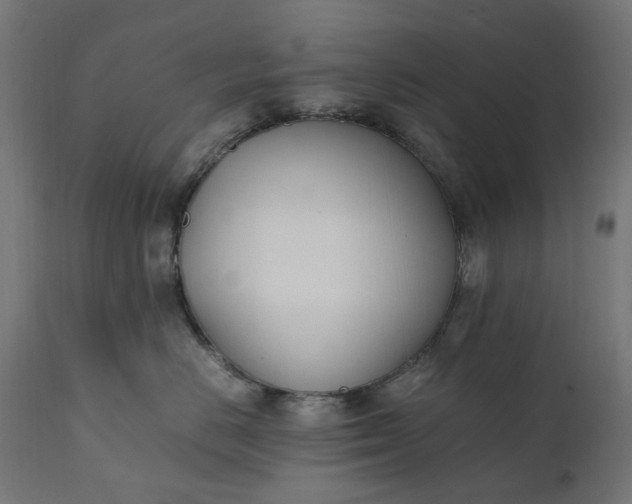 X0000111490670200907281228