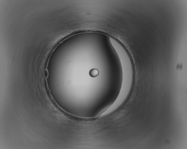 X0000111490673200907281228