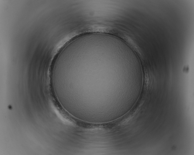 X0000111490674200907281228