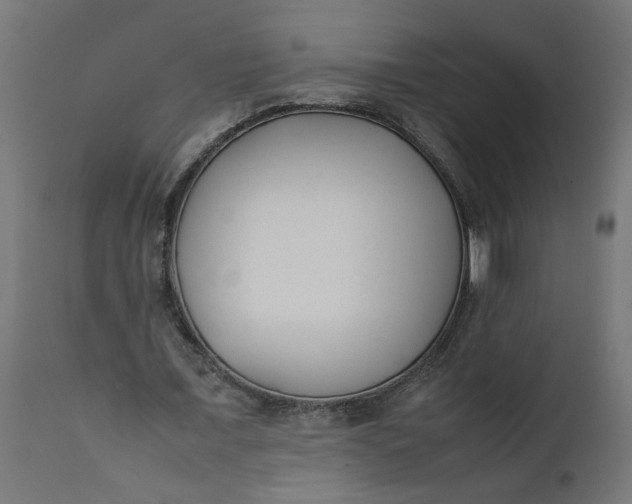 X0000111490675200907281228