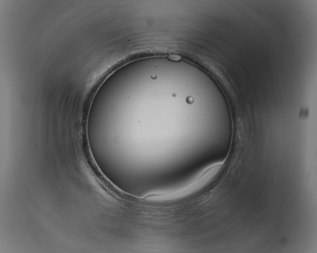 X0000111490677200907281228