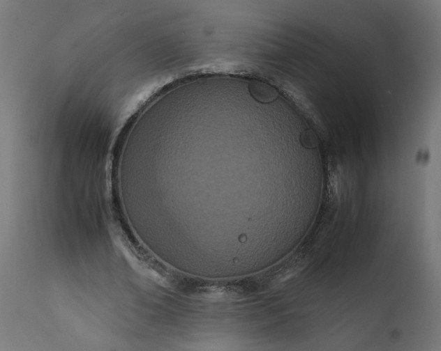 X0000111490678200907281228