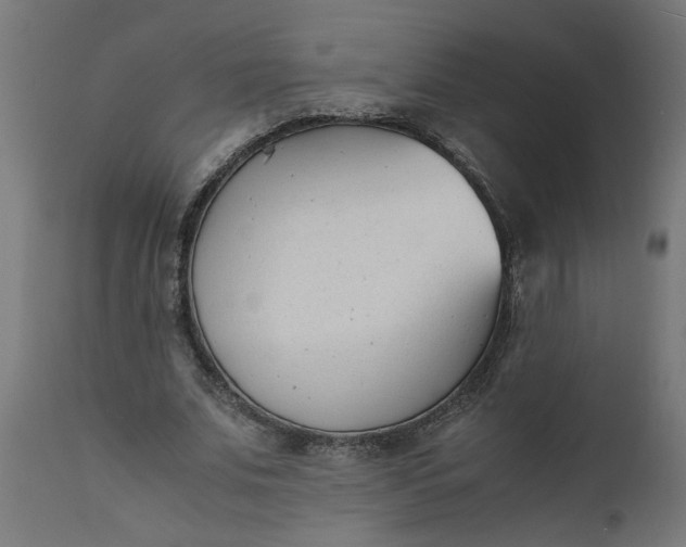 X0000111490679200907281228