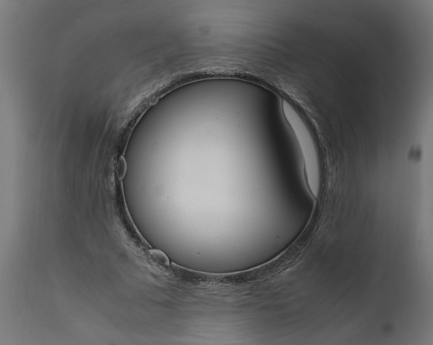 X0000111490681200907281228