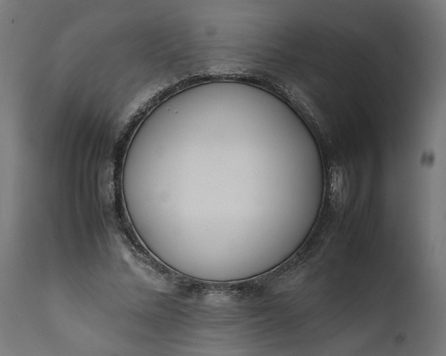 X0000111490684200907281227