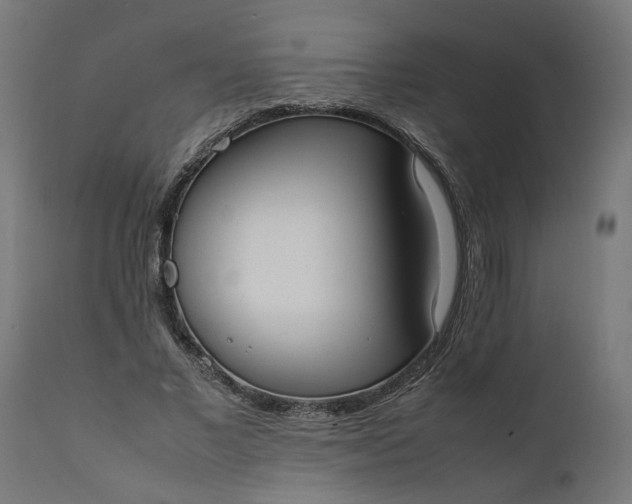 X0000111490685200907281227