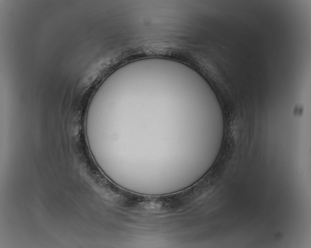 X0000111490687200907281227