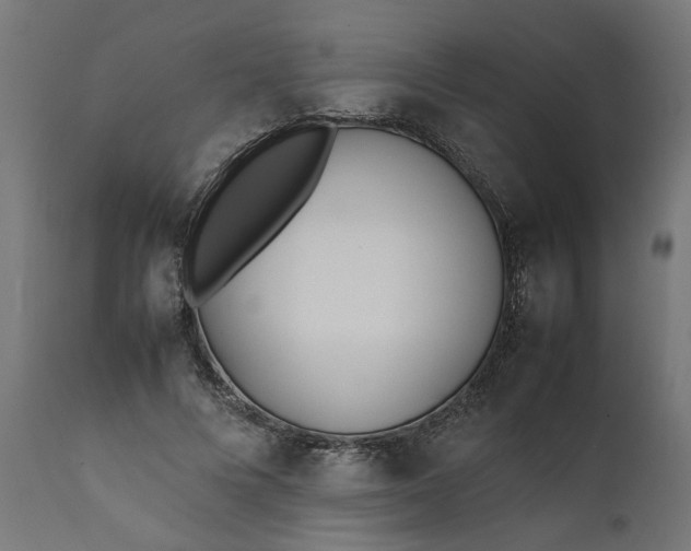 X0000111490688200907281227