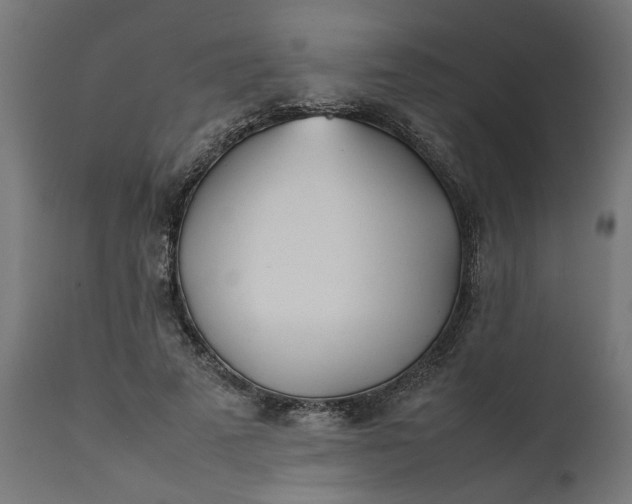 X0000111490689200907281227