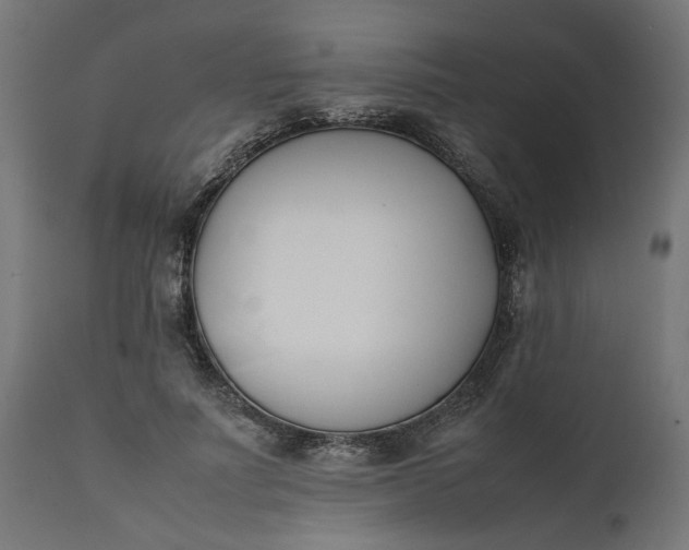 X0000111490691200907281227