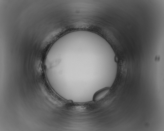 X0000111490692200907281227