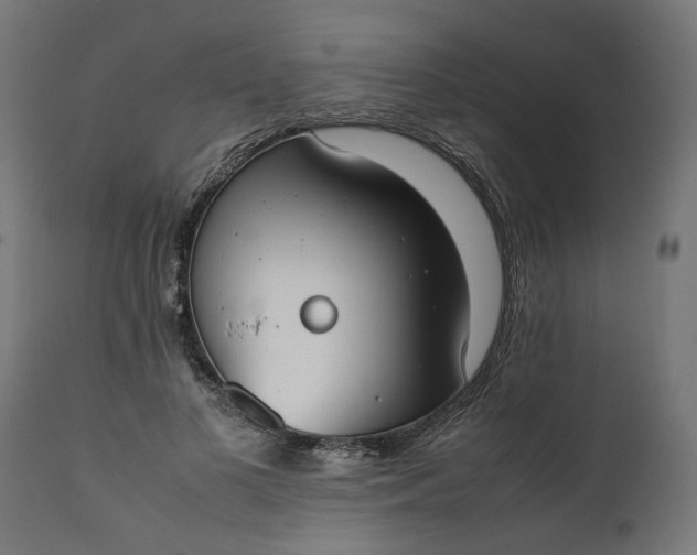 X0000111490693200907281227