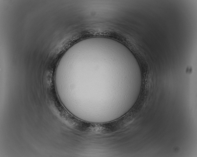 X0000111490695200907281227