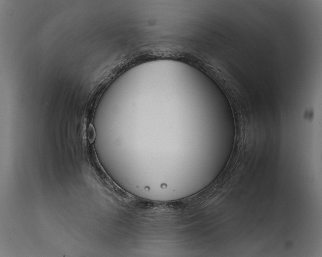 X0000111490696200907281227