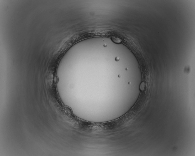 X0000111490697200907281227