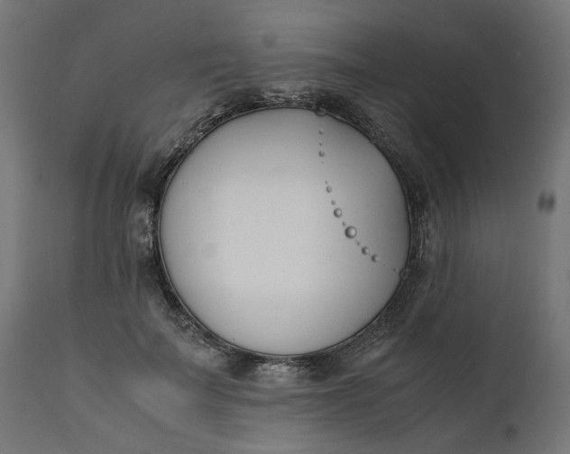 X0000111490699200907281227