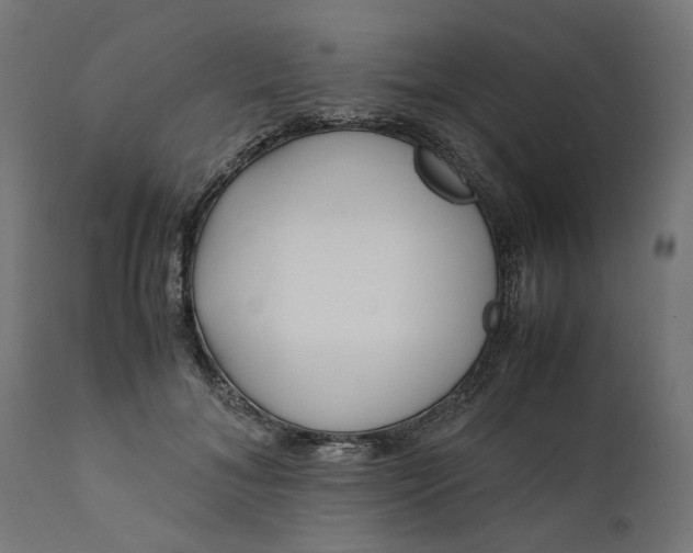 X0000111490700200907281227