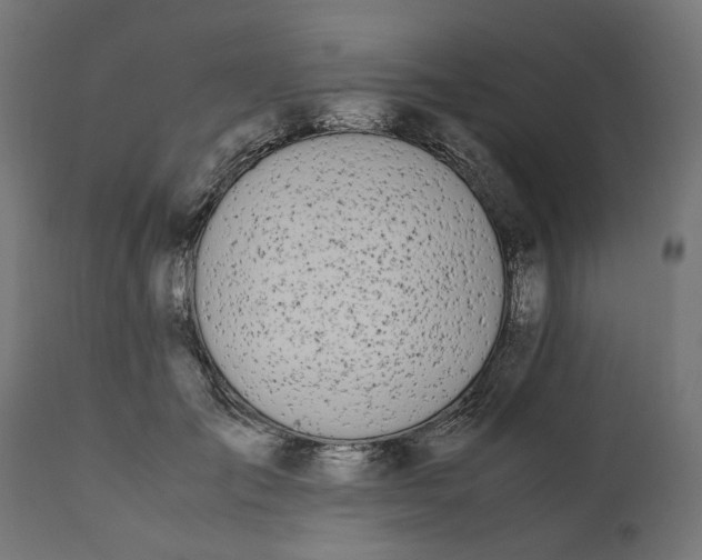 X0000111490701200907281227