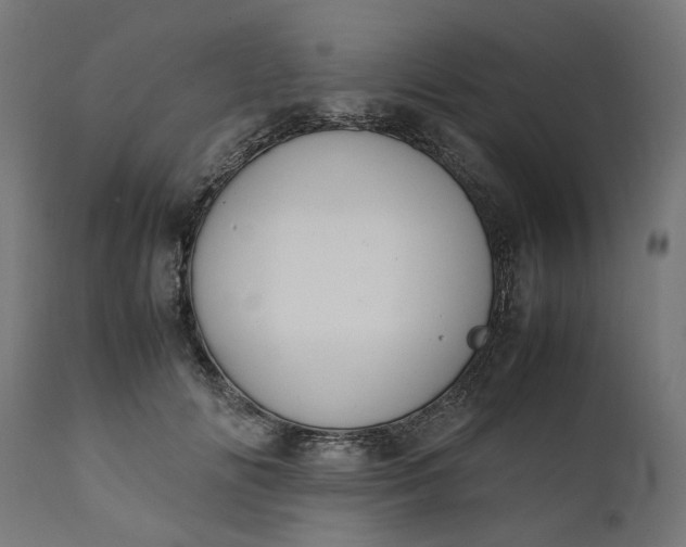 X0000111490702200907281227