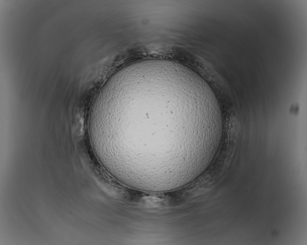 X0000111490703200907281227