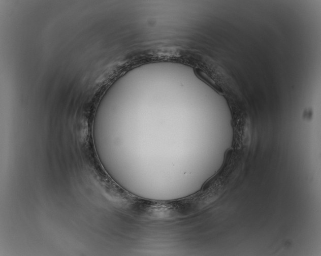 X0000111490704200907281227