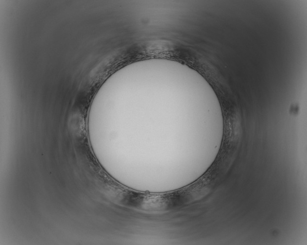 X0000111490705200907281227