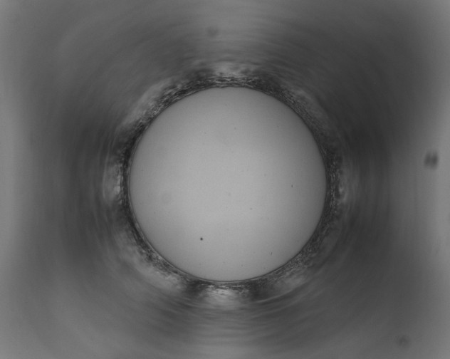 X0000111490706200907281227