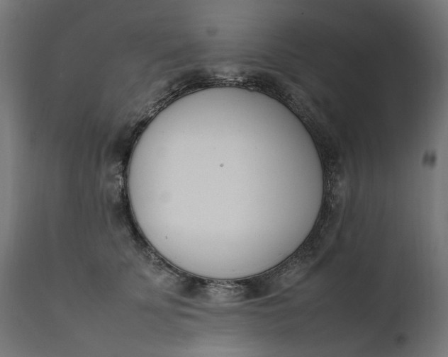 X0000111490707200907281227