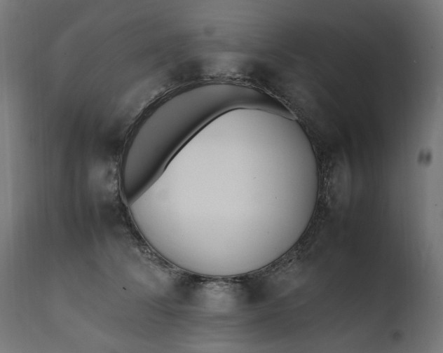 X0000111490708200907281227