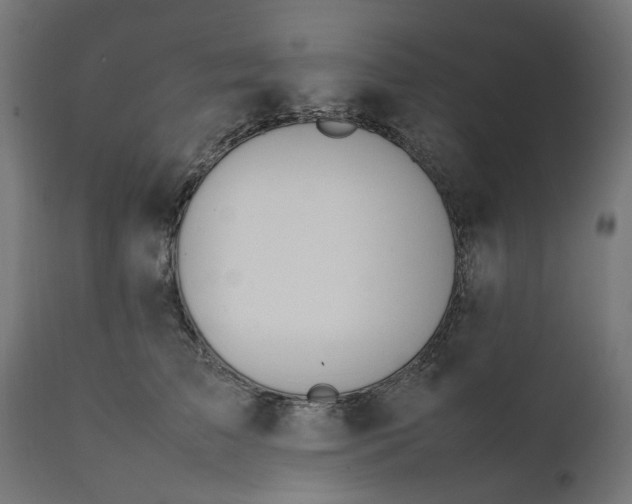 X0000111490709200907281227