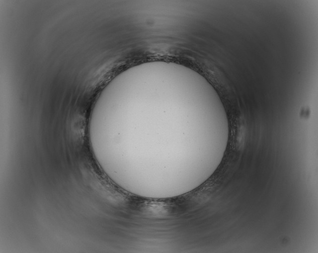 X0000111490710200907281227