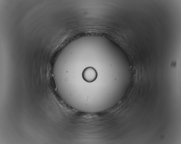 X0000111490712200907281227