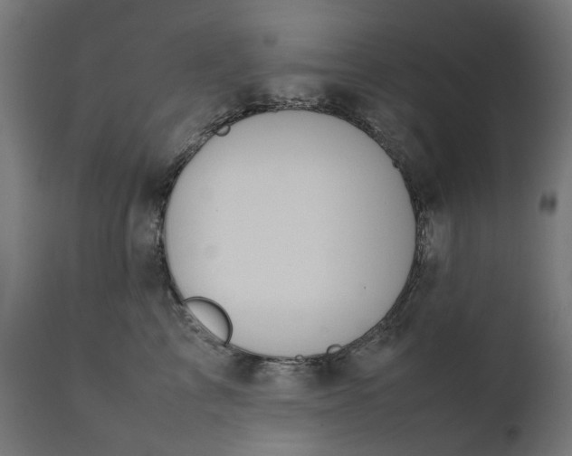 X0000111490713200907281227