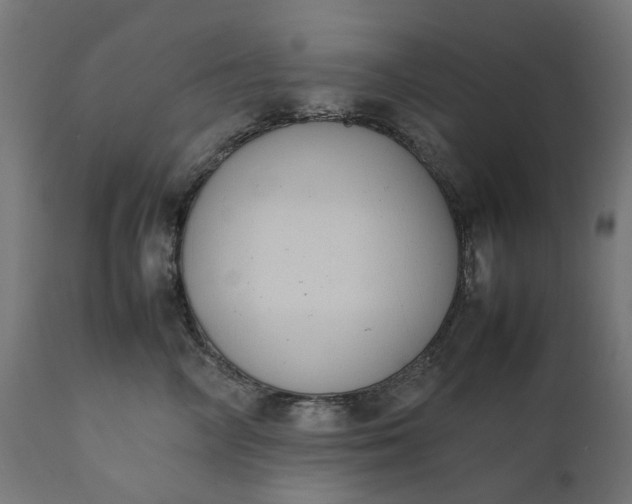 X0000111490714200907281227