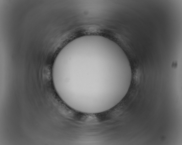 X0000111490715200907281227