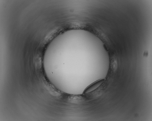 X0000111490716200907281227