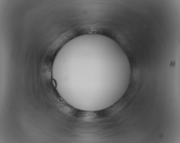 X0000111490719200907281227