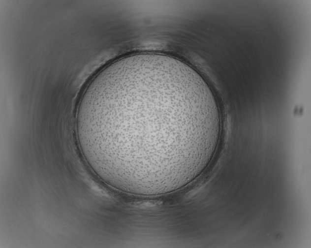 X0000111490721200907281226