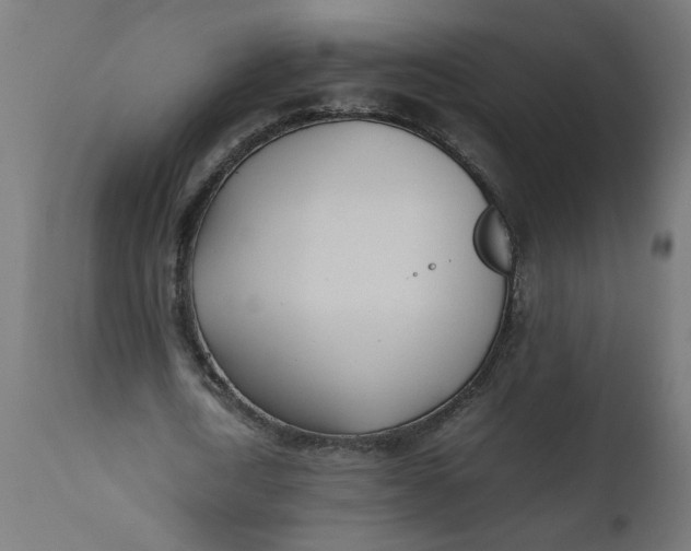 X0000111490722200907281226