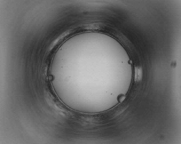 X0000111490723200907281226