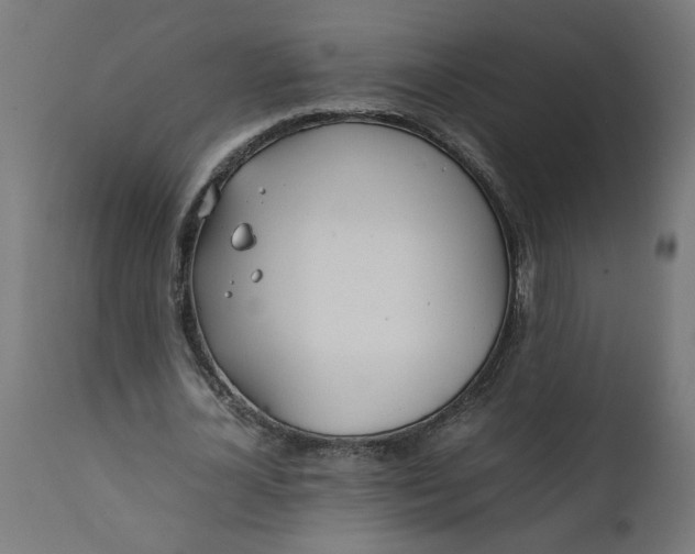 X0000111490724200907281226