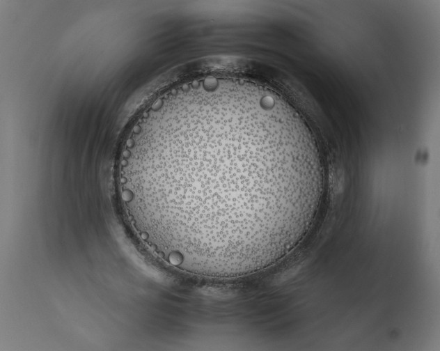 X0000111490725200907281226